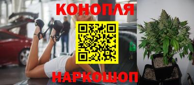spice Волгодонск