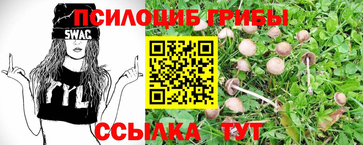 Галлюциногенные грибы Magic Shrooms Салехард
